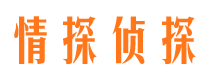 惠阳市婚外情调查